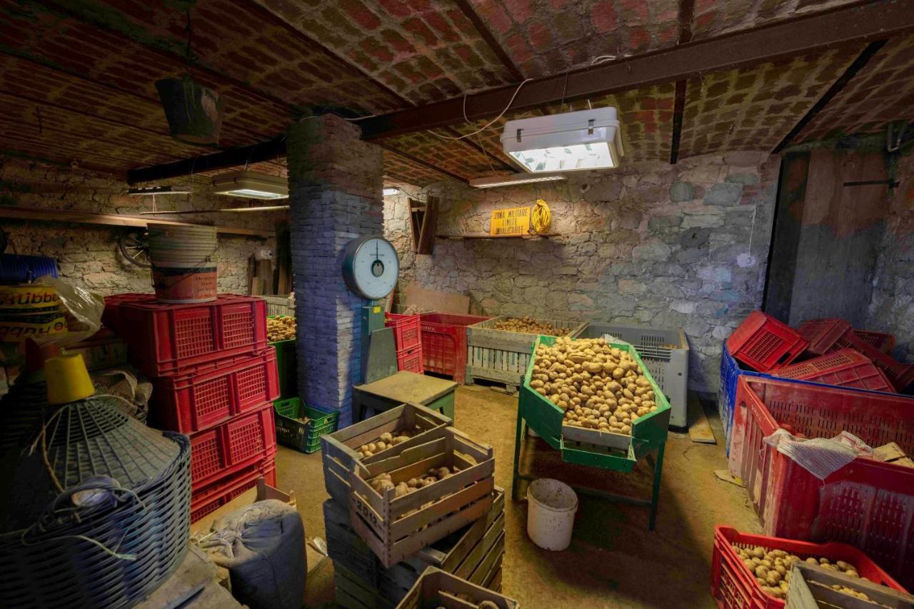Podere P Ratizzoli II Piano Tole Exteriér fotografie