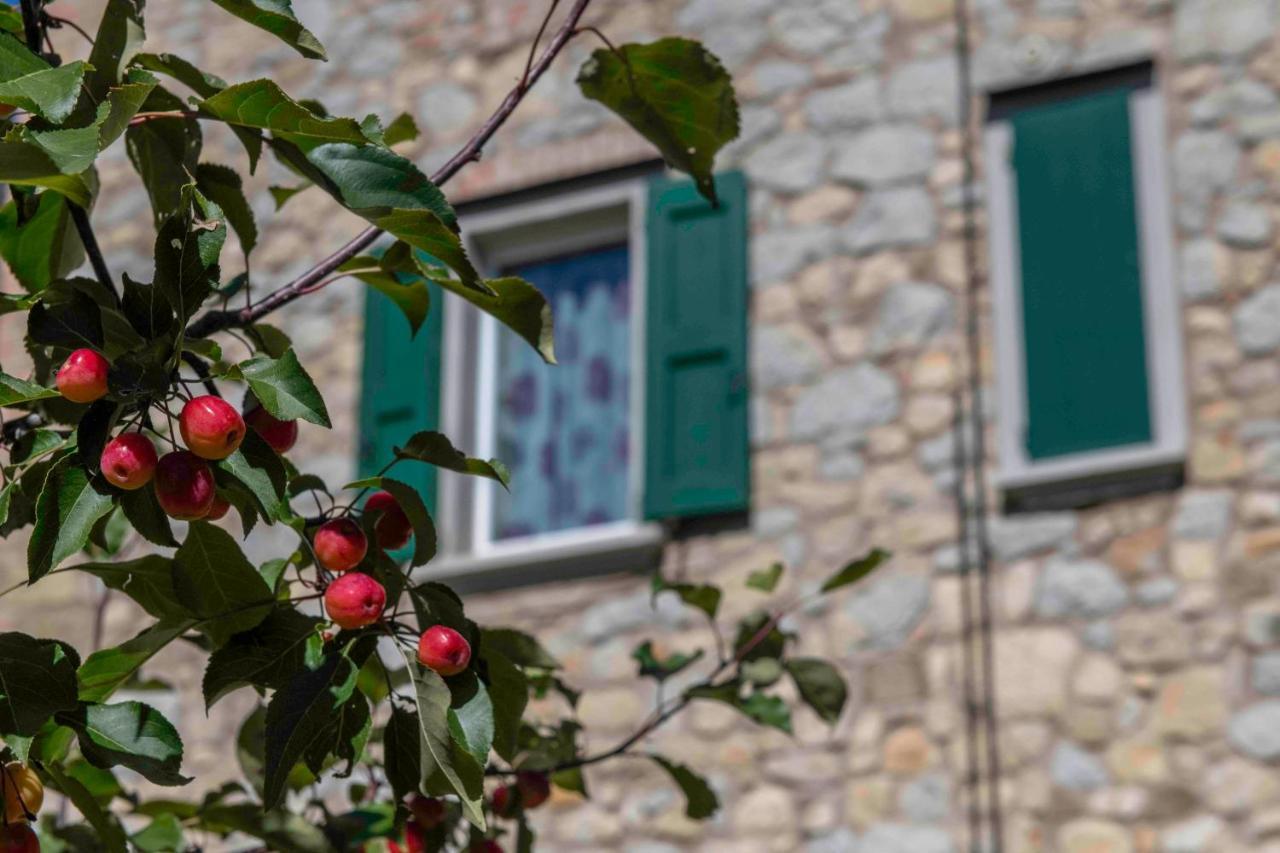 Podere P Ratizzoli II Piano Tole Exteriér fotografie